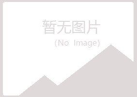 偃师映易金融有限公司